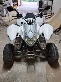 Quad Access 300  SP