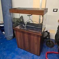 Acquario juwel Rio 125 led