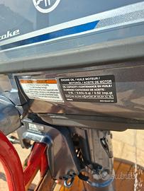 motore yahama 4 tempi 6 hp 