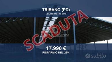 Immobile in asta di 136 m² a Tribano
