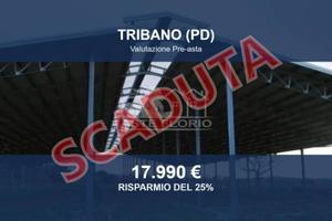 Immobile in asta di 136 m² a Tribano