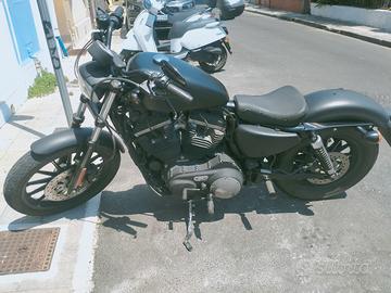 Harley Davidson 883 iron