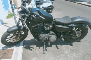 Harley Davidson 883 iron