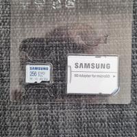 scheda di memoria samsung Evo Plus 256 giga 