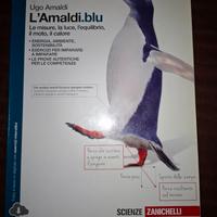 L'Amaldi.blu  zanichelli