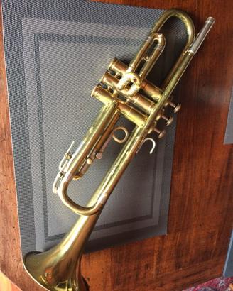TROMBA in sib FRANK HOLTON model COLLEGIATE
