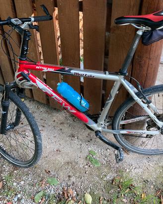 Mtb l