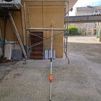 Asta Stihl abbacchiatore