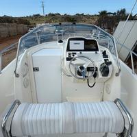 barca white shark 22.8