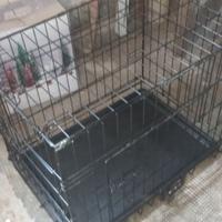 kennel