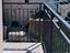 Immagine 9