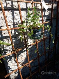 inferriata vintage in ferro battuto a mano 