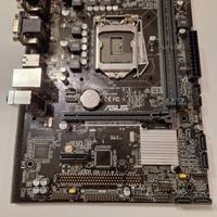 Scheda Madre ASUS H110-C Intel LGA 1151 HDMI DDR4