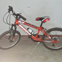 Mountain bike Montana 20 pollici