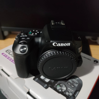 Canon EOS 250D 24.1MP Fotocamera Reflex Digitale (