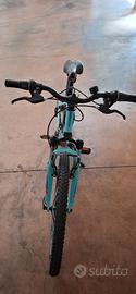 Rockrider 500 sport trailer 20"
