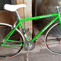 Bicicletta mozzo flip-flop Kawasaki classic