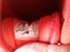 Immagine 6