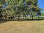 Immagine 22