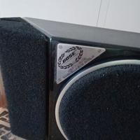 Diffusori BOSE 201 versione speciale