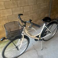 Bici graziell olanda