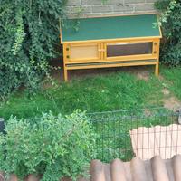 conigliera da esterno 