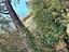 Immagine 13