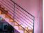 Immagine 7