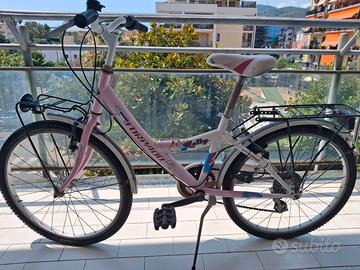 Bicicletta