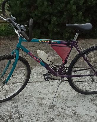 Atala taglia 26