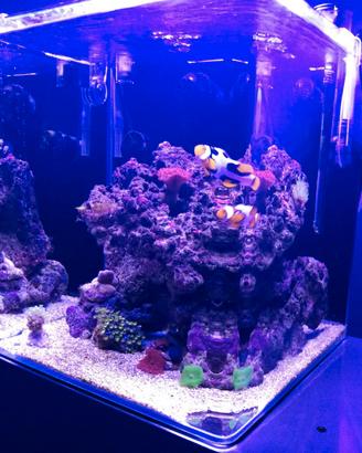 Acquario Marino Nano Cube completo