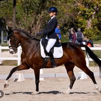 Meravigliosa cavalla da dressage