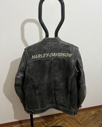 Giubbotto in pelle Harley Davidson