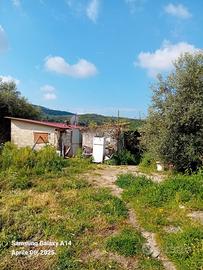 Terreno agricolo con deposito agricolo