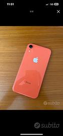 Iphone XR color corallo