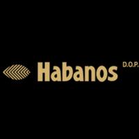 habanos e humidor