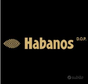 habanos e humidor