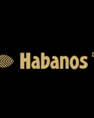 habanos e humidor