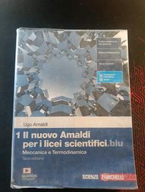 Zanichelli il nuovo Amaldi 