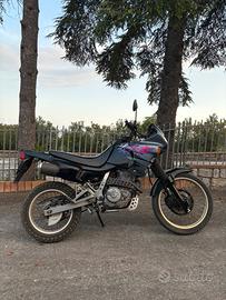 Honda dominator 650