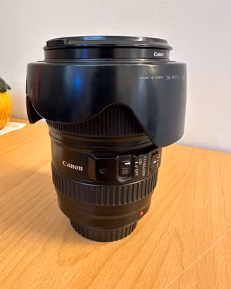 Canon EF 24-105 f/4L IS USM