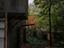 Immagine 12