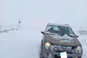 Panda cross 4 x 4
