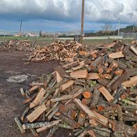 legna  di quercia disponibile solo su benevento 