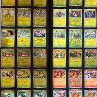 Lotto carte Pokemon set ossidiana infuocata