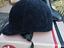 Immagine 6
