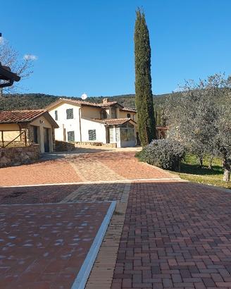 Azienda agricola