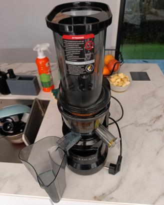 Estrattore professionale RGV JUICE ART PLUS