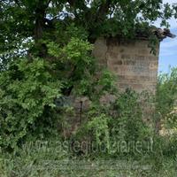 Terreno Agricolo Arcevia [A4318338]