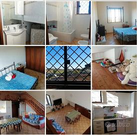 Feronia residence